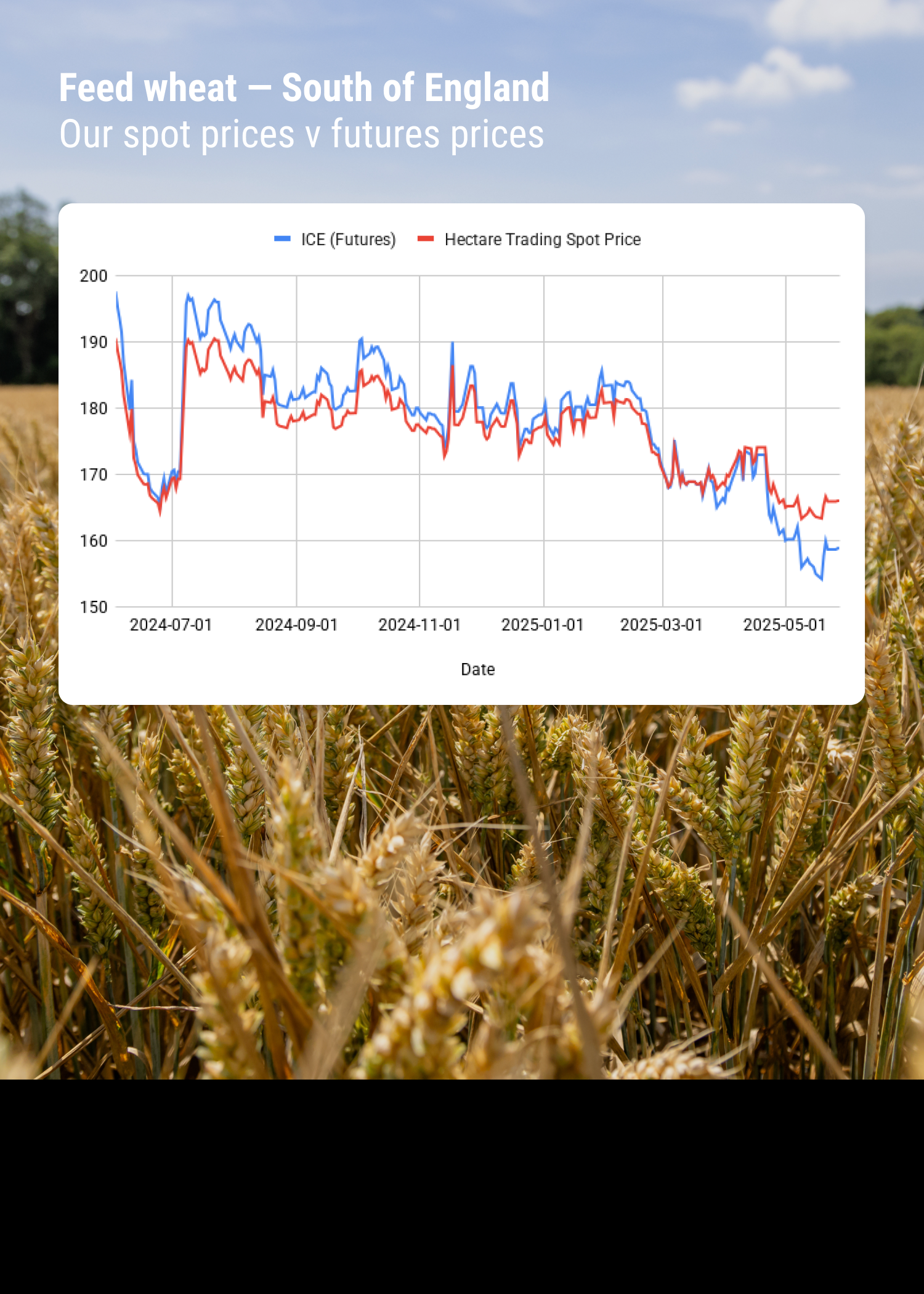 Trading Crops Grain-selling strategies in a tough market — Hectare Trading | The ...