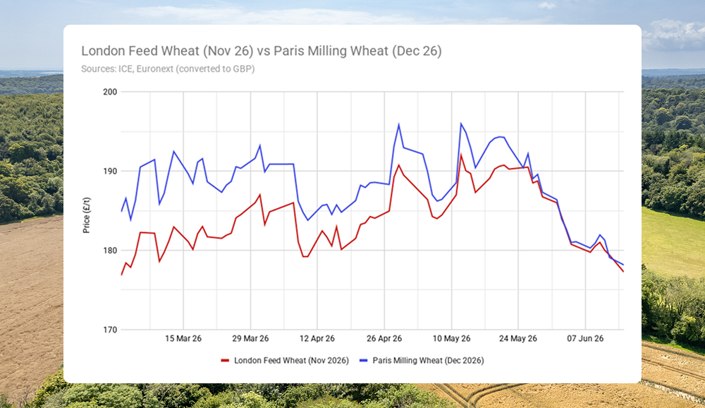 A line chart showing how the prices for London Feed Wheat (November 2026) and Paris Milling Wheat (December 2026) have converged since March 2026