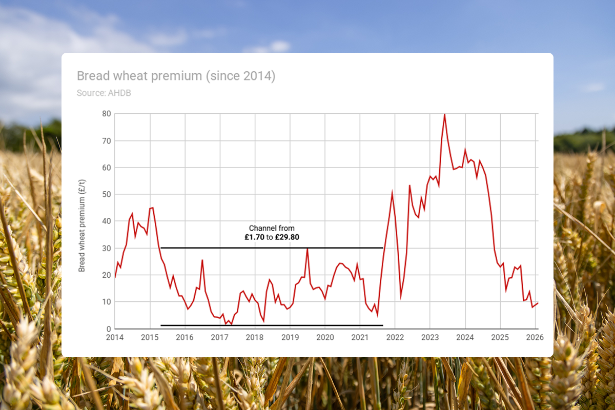 A line chart showing the monthly premium of the UK spot ex-farm bread wheat price over the feed wheat price since 2014, according to AHDB Corn Returns