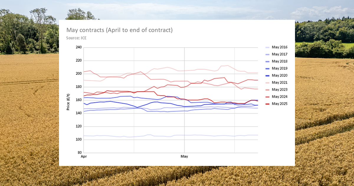 A line chart comparing prices of the May UK feed wheat contract from April to the end of the contract for the past 10 years (omitting 2022)