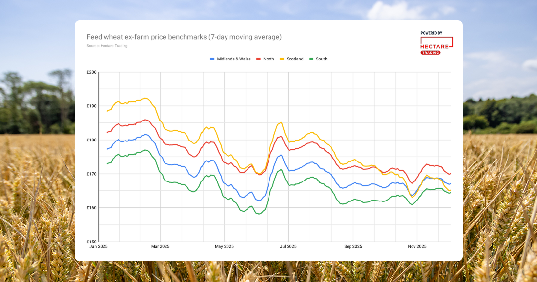A line chart comparing the price of feed wheat throughout 2025 in the Midlands & Wales, the North, Scotland and the South
