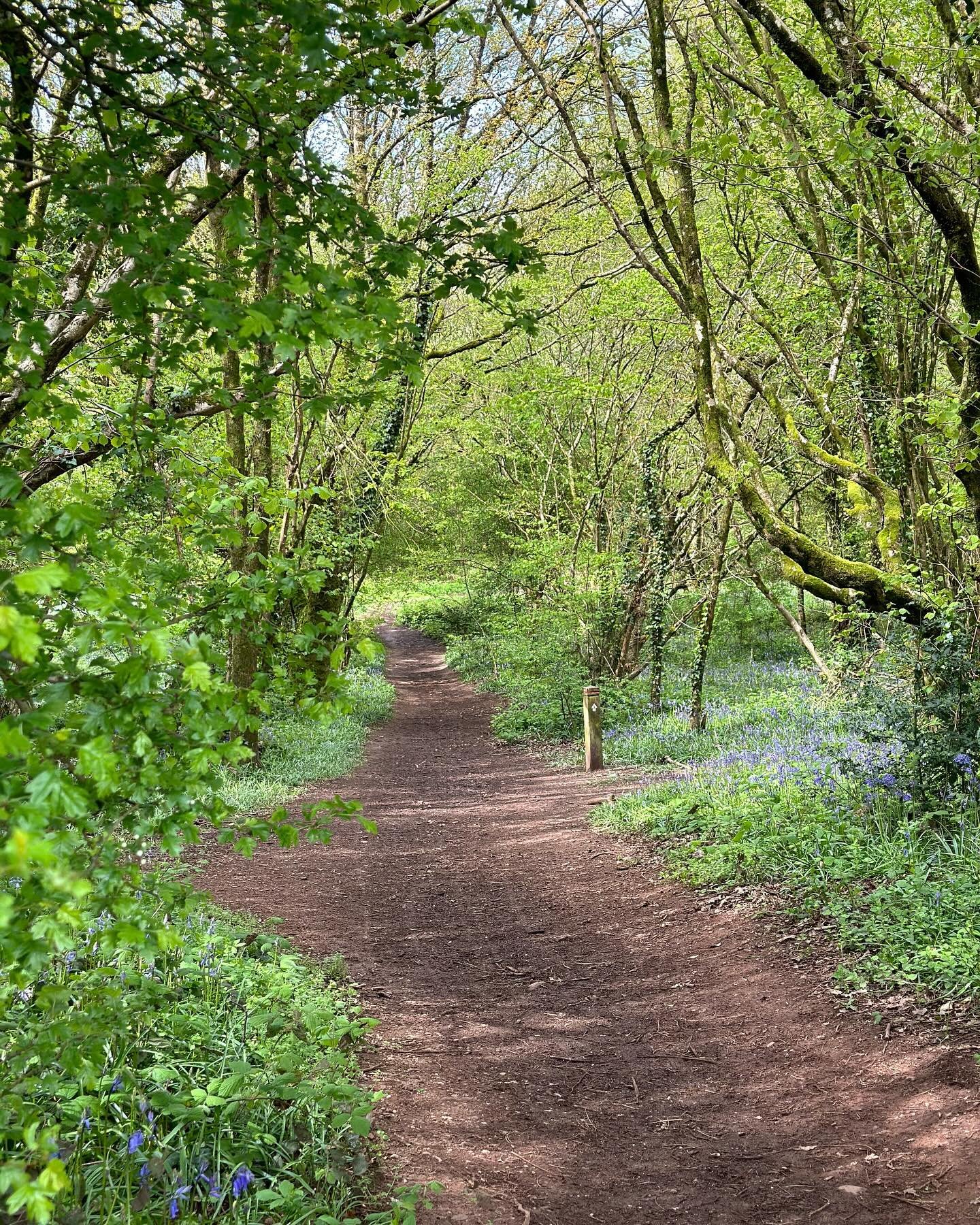 We&rsquo;ve got many woodland walks a stones throw away from our cafe &amp; we are of course dog friendly.

Open 7 days a week serving speciality coffee, fresh pastries, homemade bakes, scones AND our seasonal food menu!