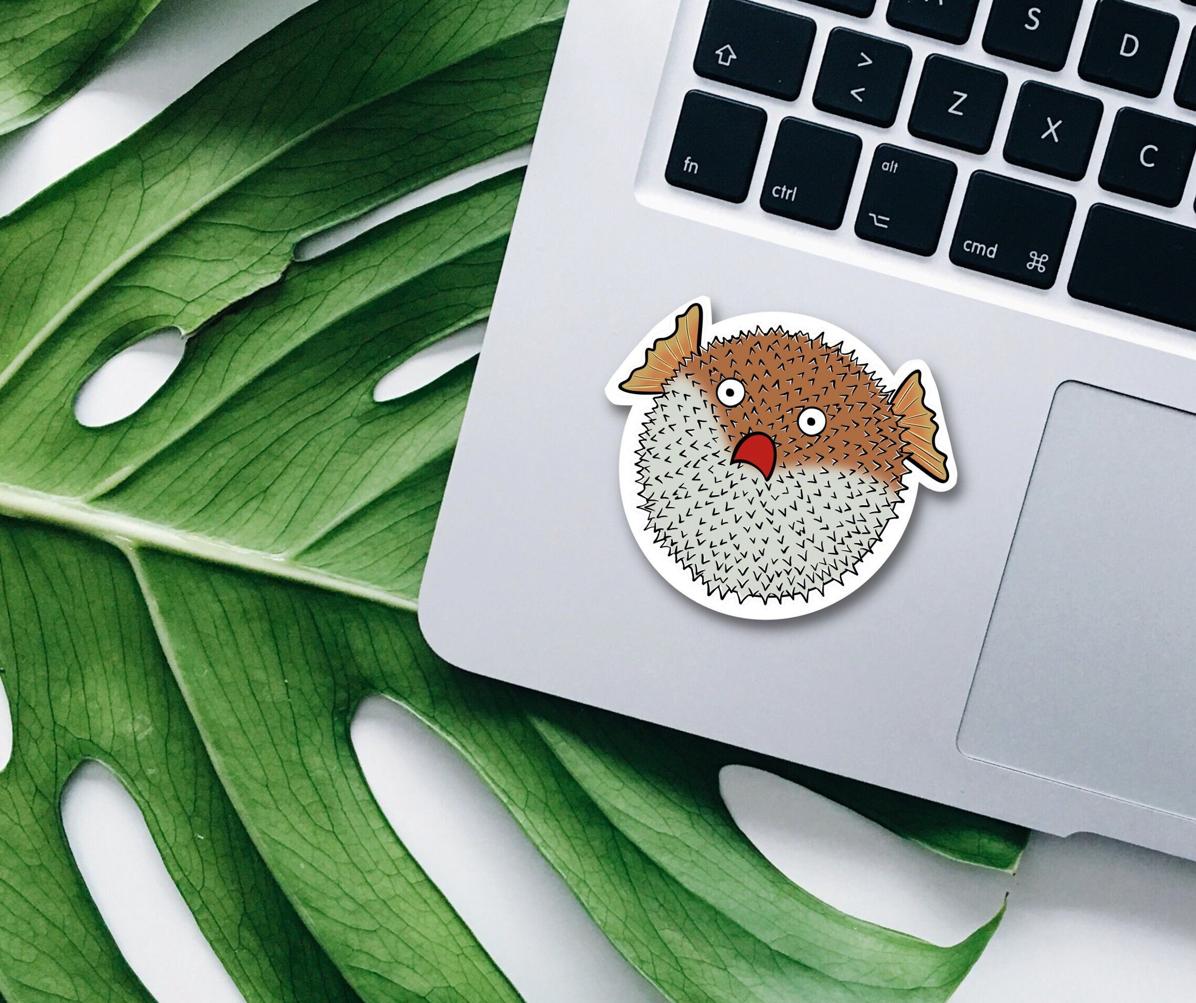 https://i.etsystatic.com/22476950/r/il/f02e3f/4686192407/il_fullxfull.4686192407_tw9d.jpg