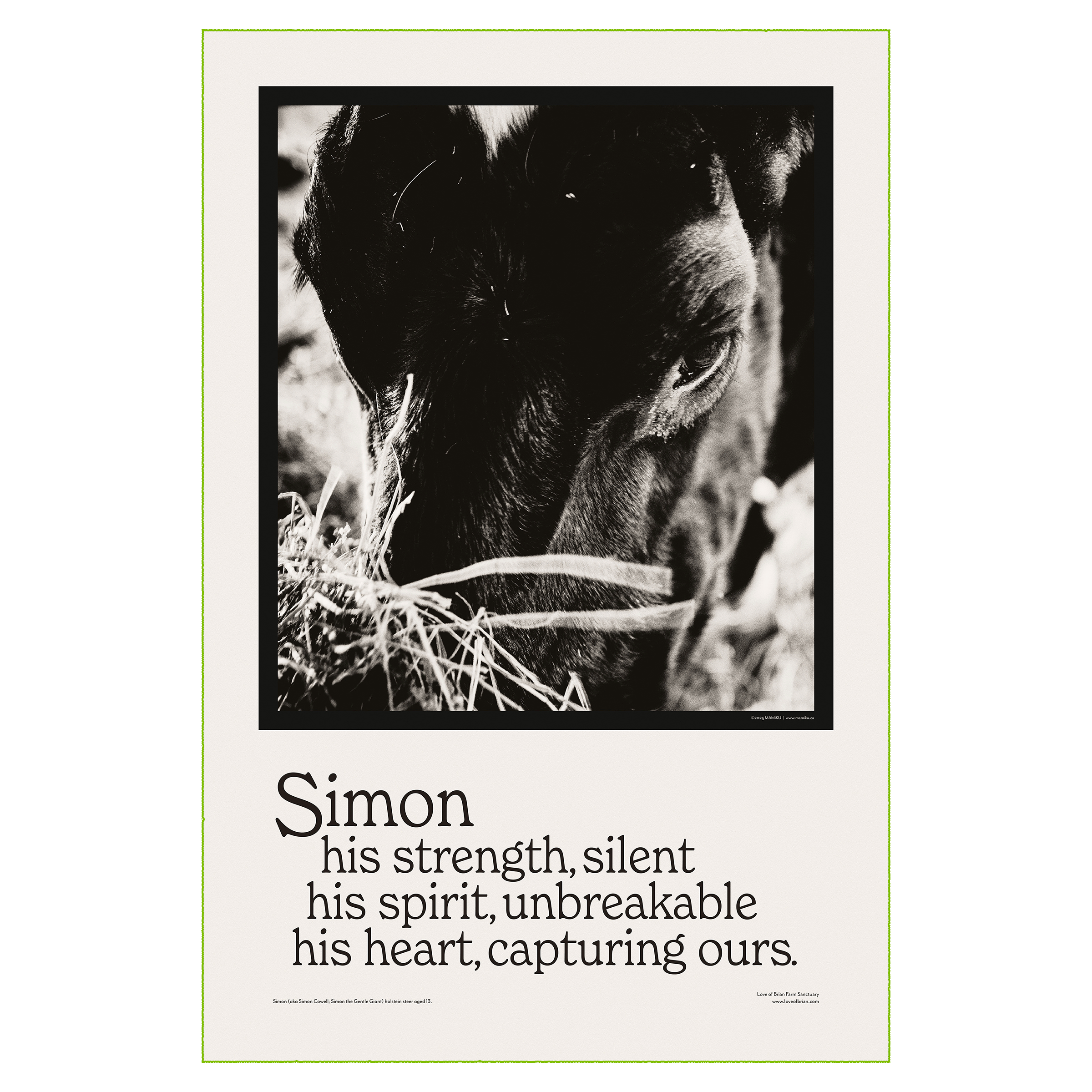 Simon's Strength (digital) — MAMiKU