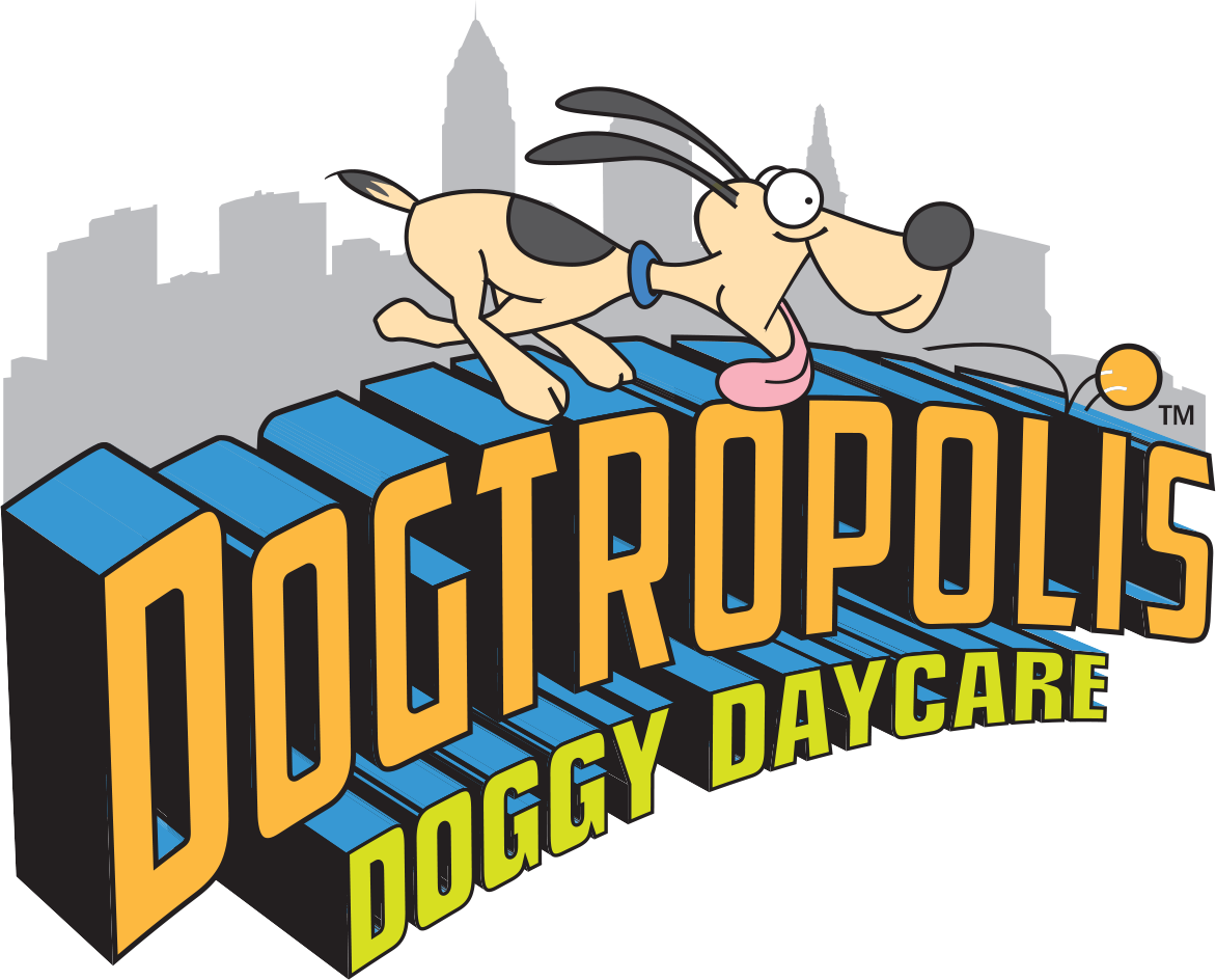 Dog Care Services, Doggy Day Care & Boarding