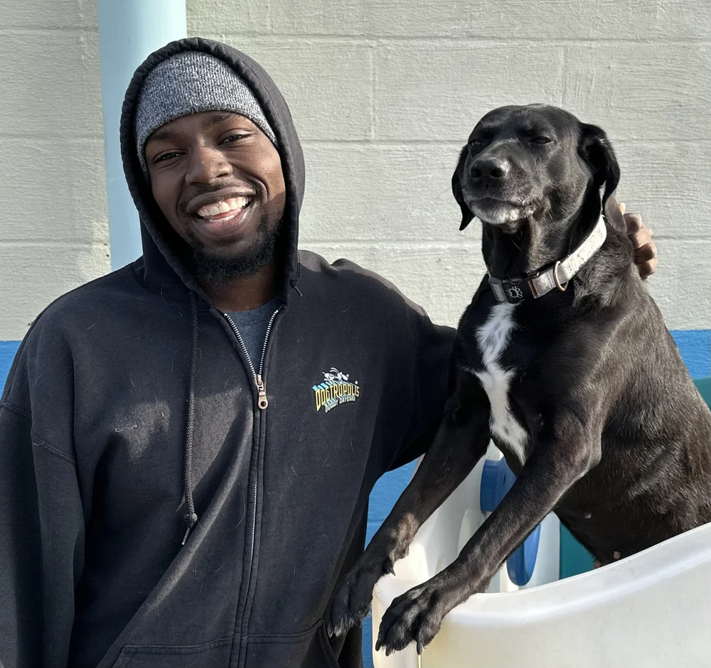 Dogtropolis Dog Daycare and Overnight Boarding