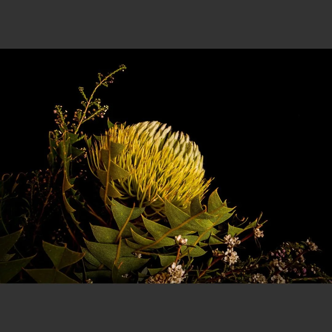 Stillness  Chris Sutton web.jpg