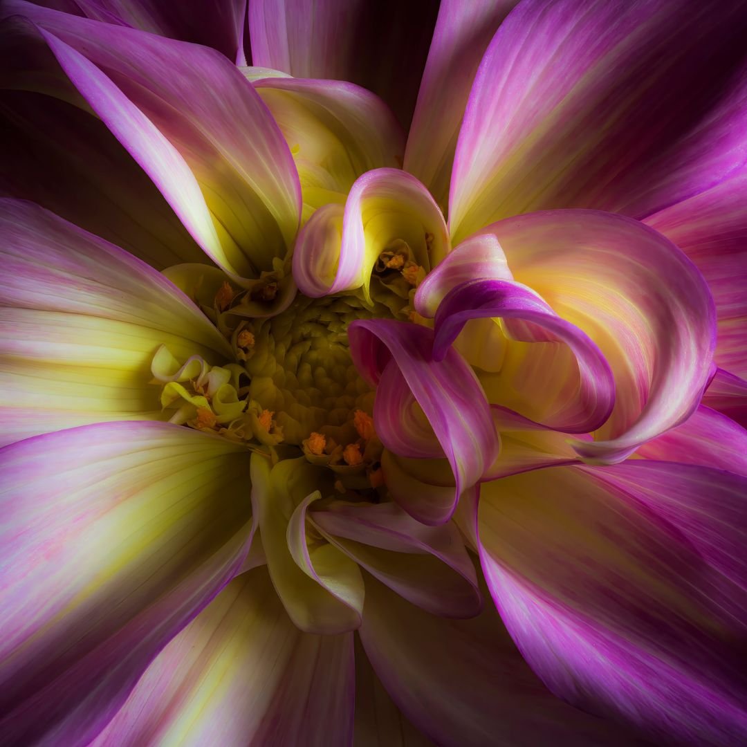 Perception  Chris Sutton web.jpg