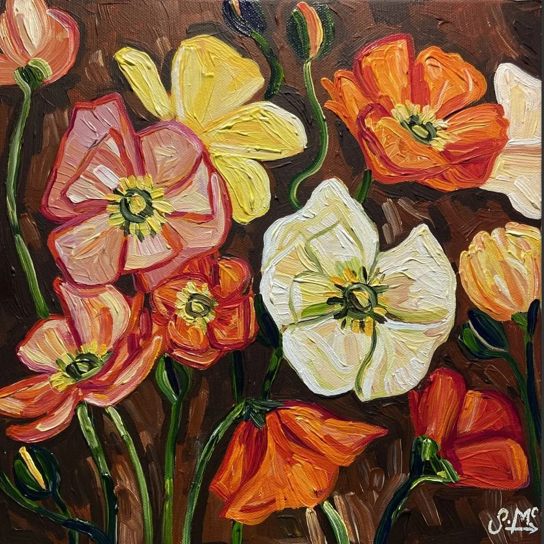 Poppies Study | Sarah McCullough