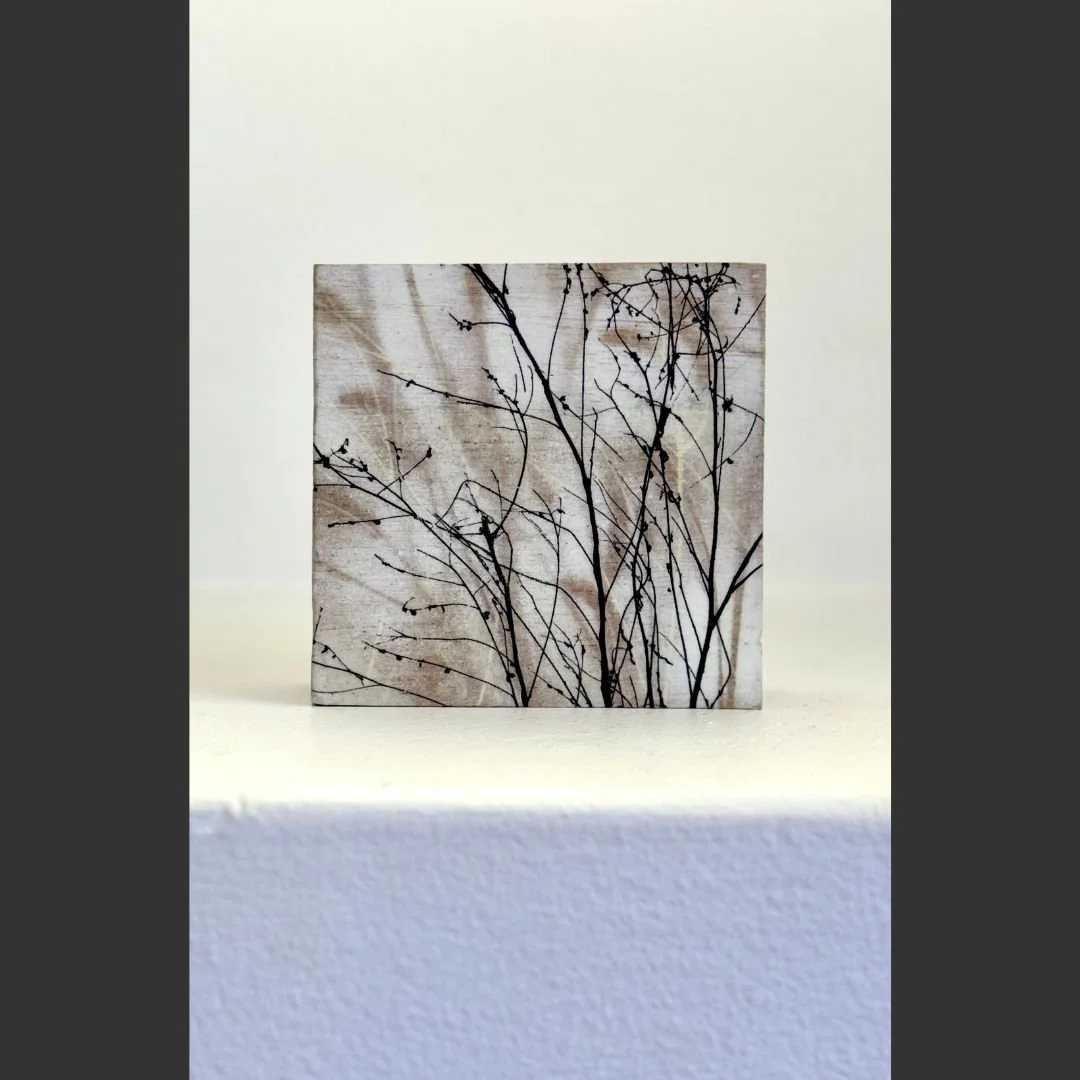 Wildgrass of Winter | Kylian Martin