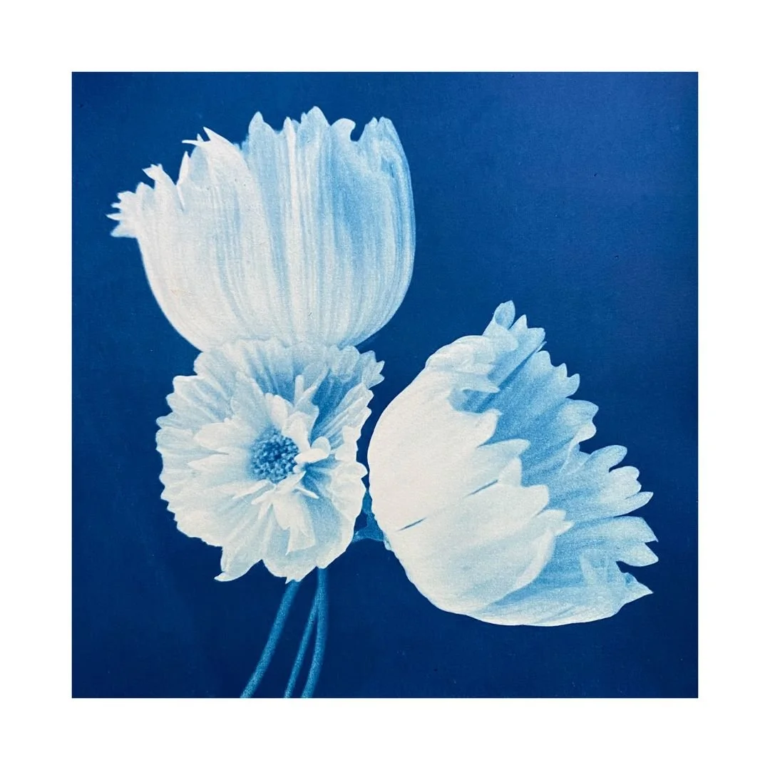 Cosmos Trio  Jacqui Penrose web.jpg
