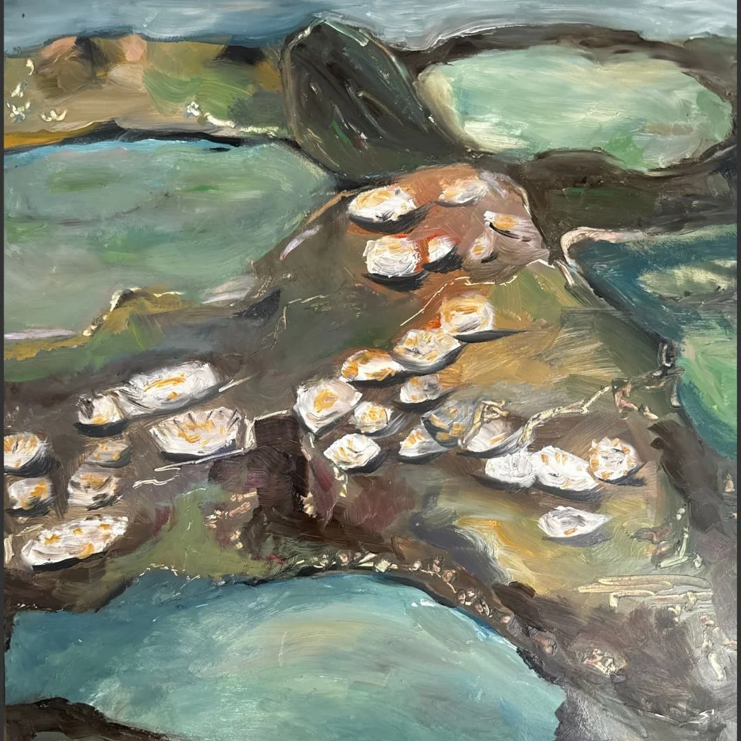 There's a Universe in These Rock Pools | Sara Phemister