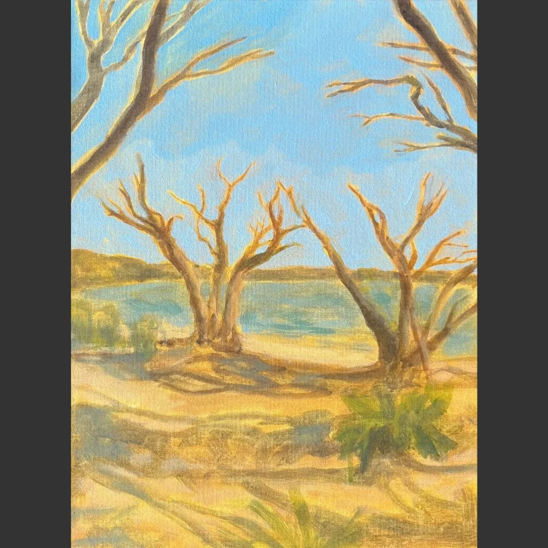 Bournda Trees | Sarah Robinson