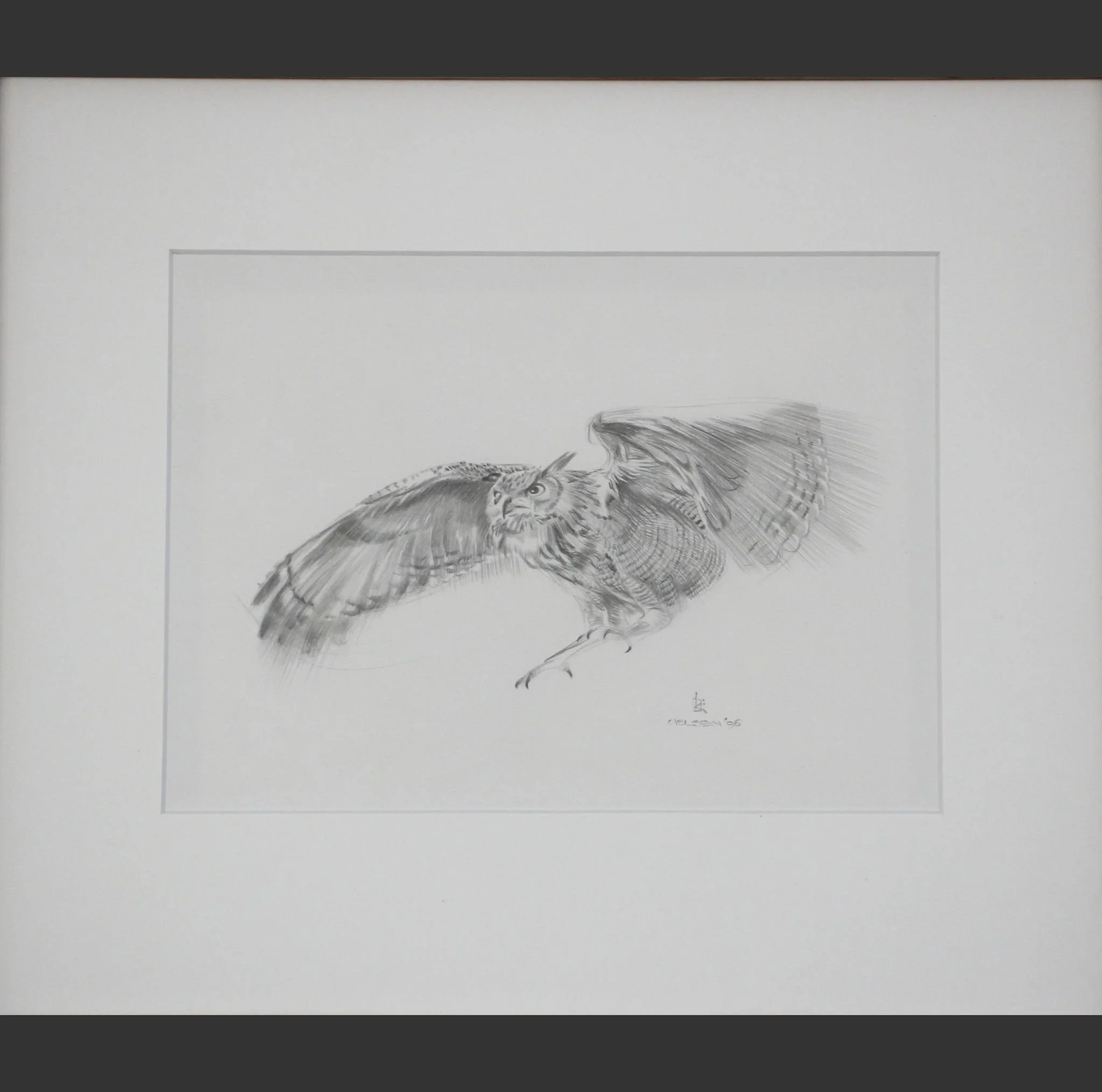 Owl | Kim Nelson
