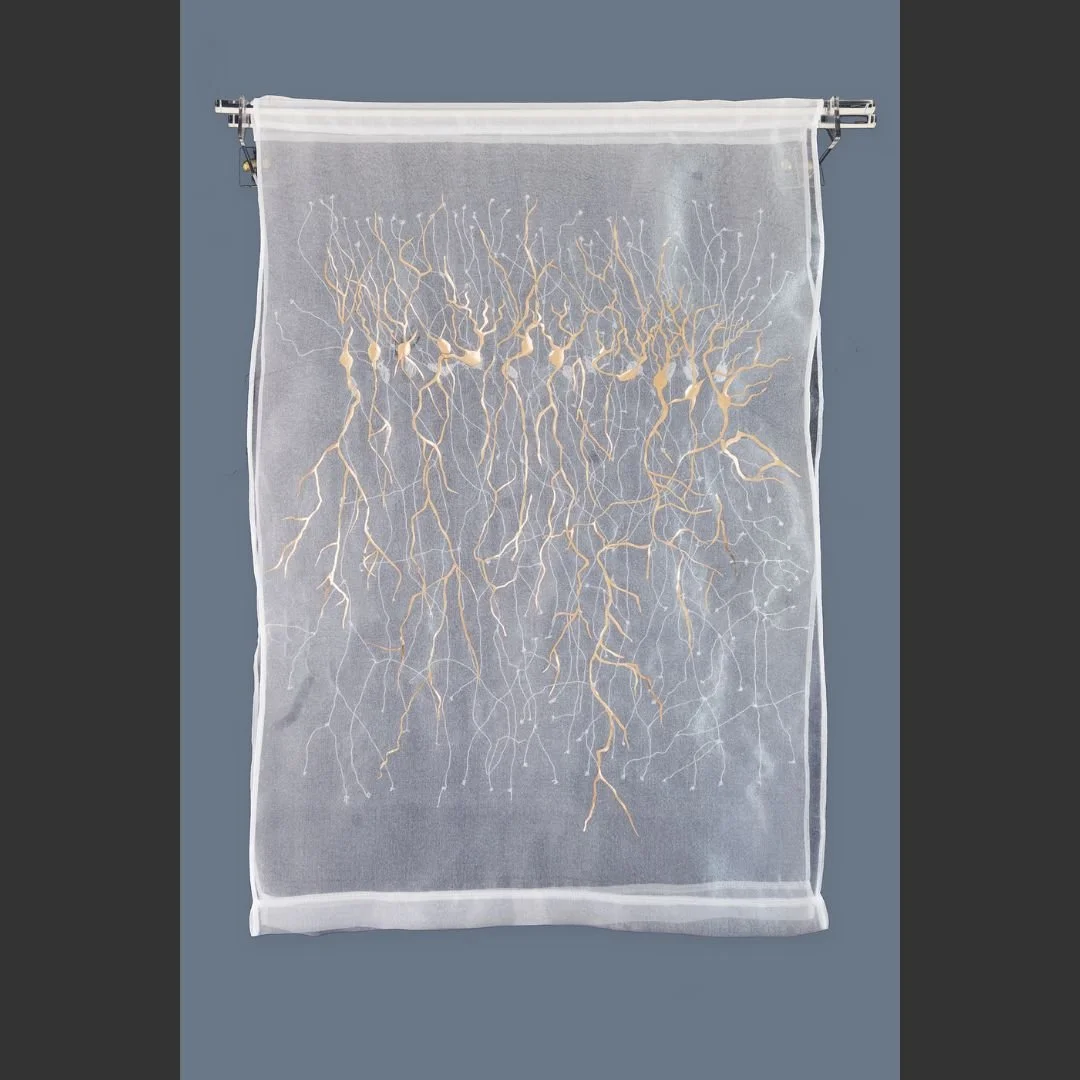 Pinal Miniar  Where Memory Takes Root web.jpg