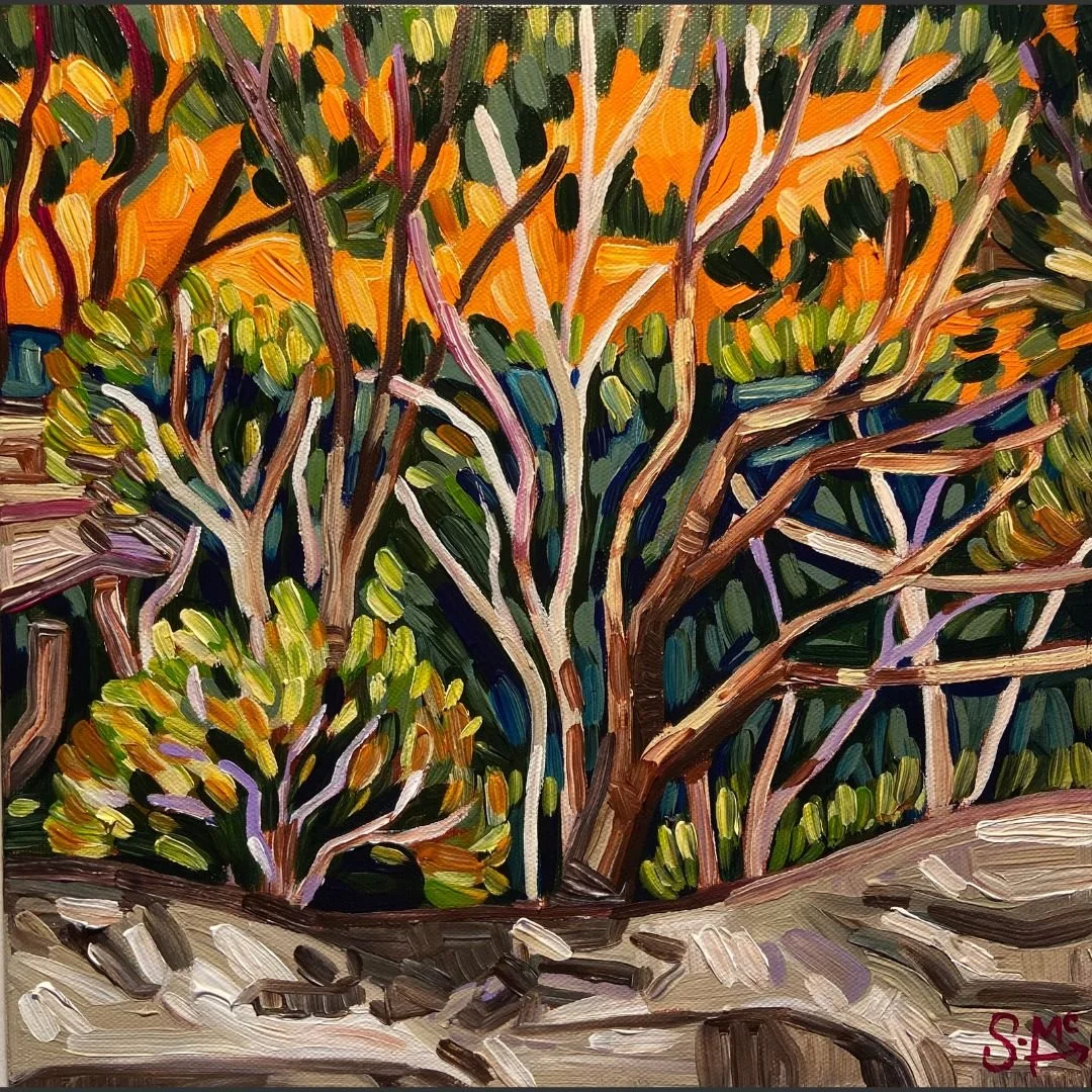 Blue Mountains Study III | Sarah McCullough