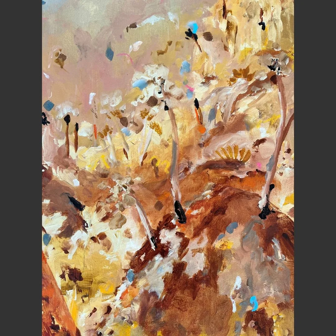 Emma O_Connell West Macdonnell-2 - Emma O_Connell.jpg