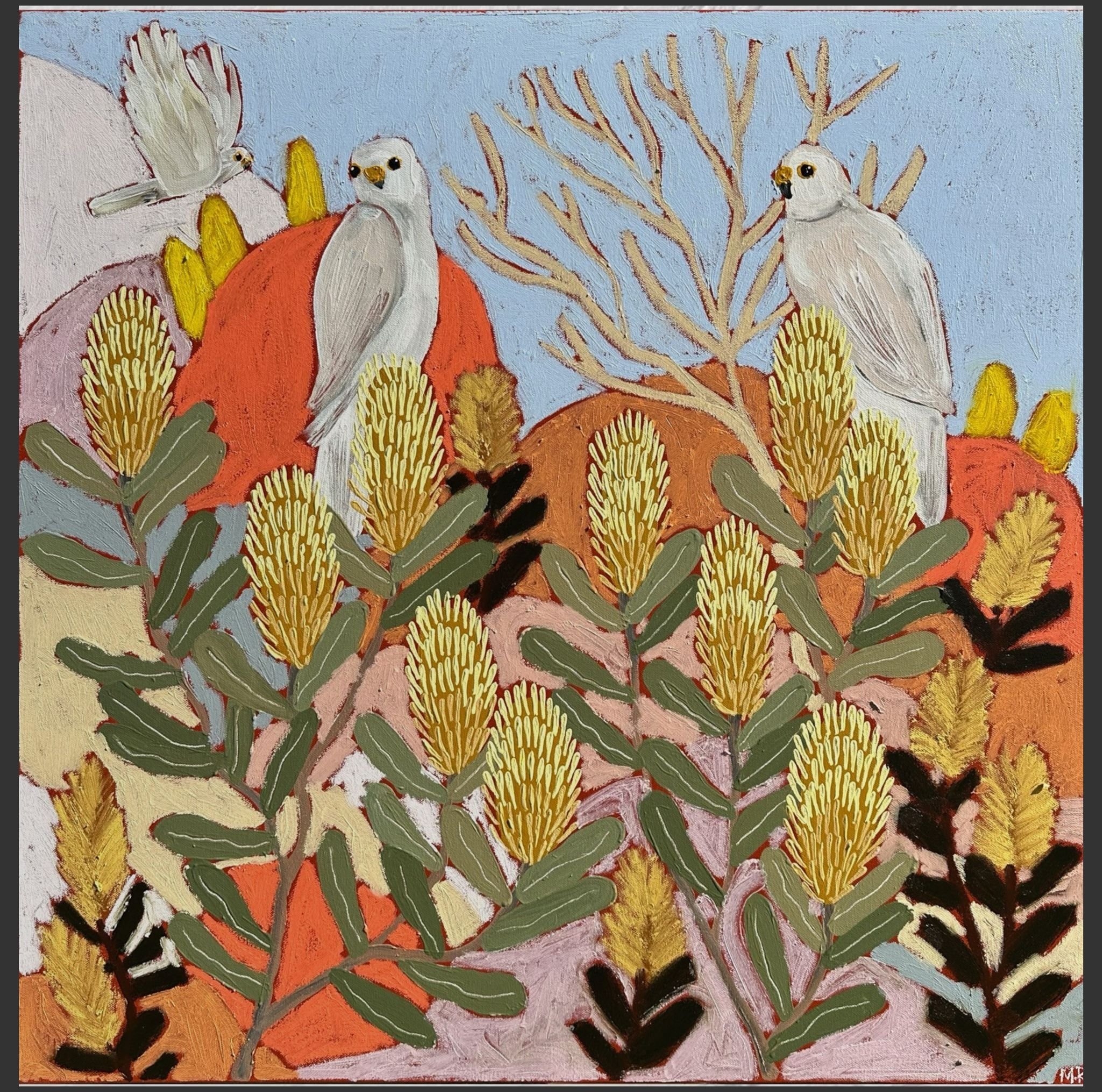 Hannah Goggs Grey Goshawk with Banksia marginata.jpg