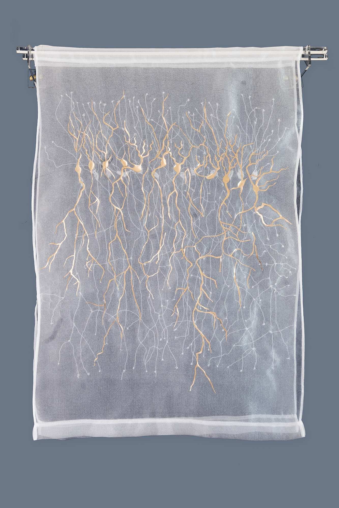 Pinal Maniar  Where Memory Takes Root.jpg