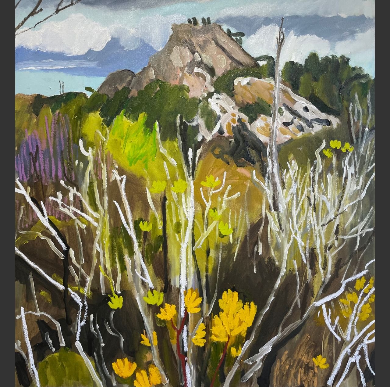 Mount Hartz 65 x 60cm plus frame.jpg