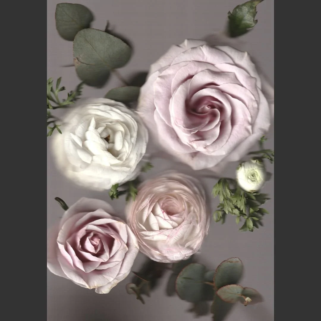 Softly Present Liz Kelleher web.jpg