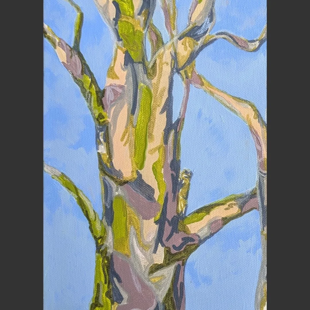 Bravo Domino Soft Spot - detail.jpg