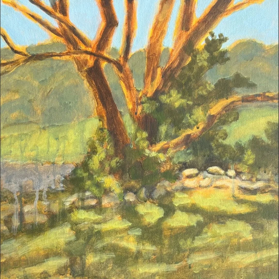 Kangaroo Valley Tree | Sarah Robinson