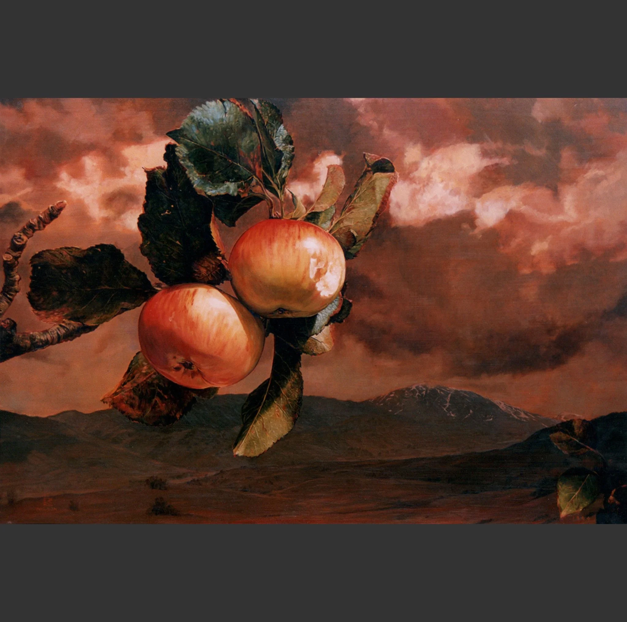 Still Life with Landscape | Kim Nelson
