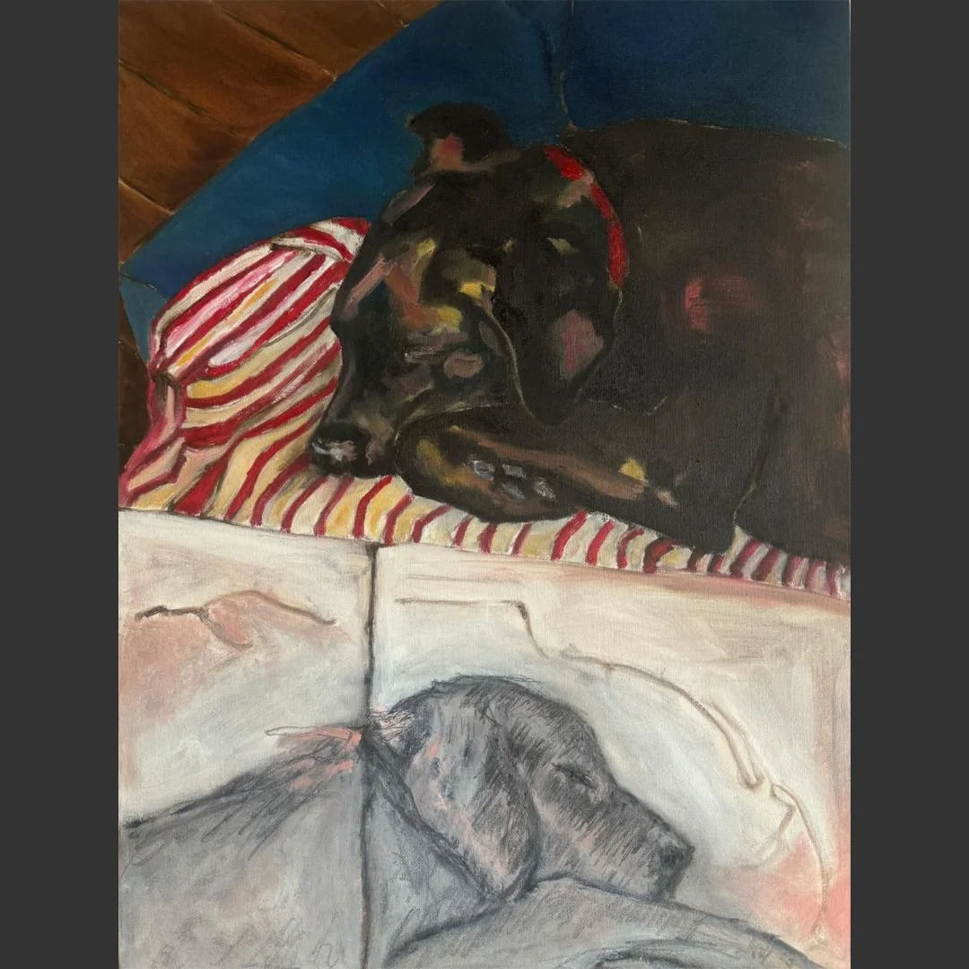 BeppO in StereO | Sara Phemister