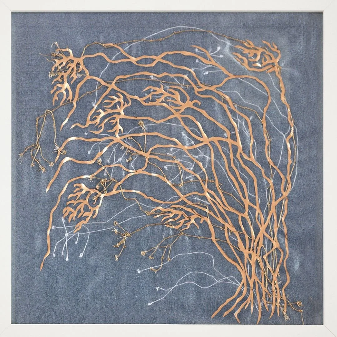 Pinal Miniar  This is where I live web.jpg