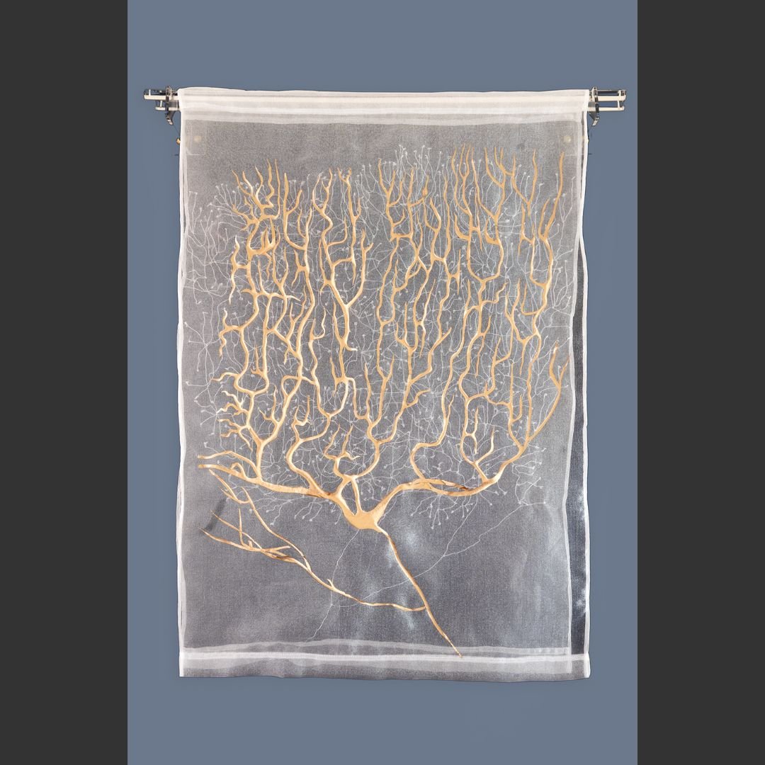 Pinal Miniar  Inner Grove web.jpg