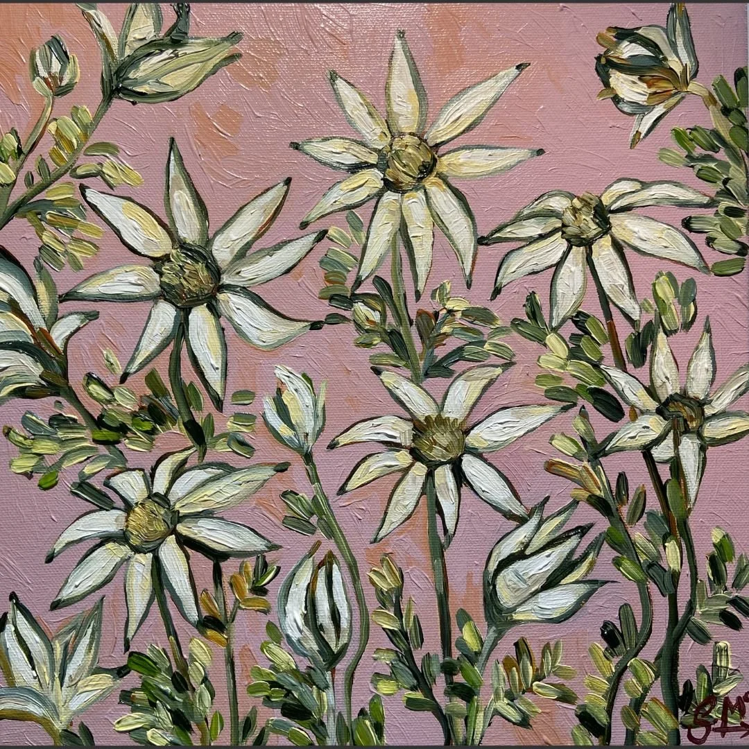 Sarah McCullough_FLANNEL FLOWER STUDY_3OCM X 30CM.jpg