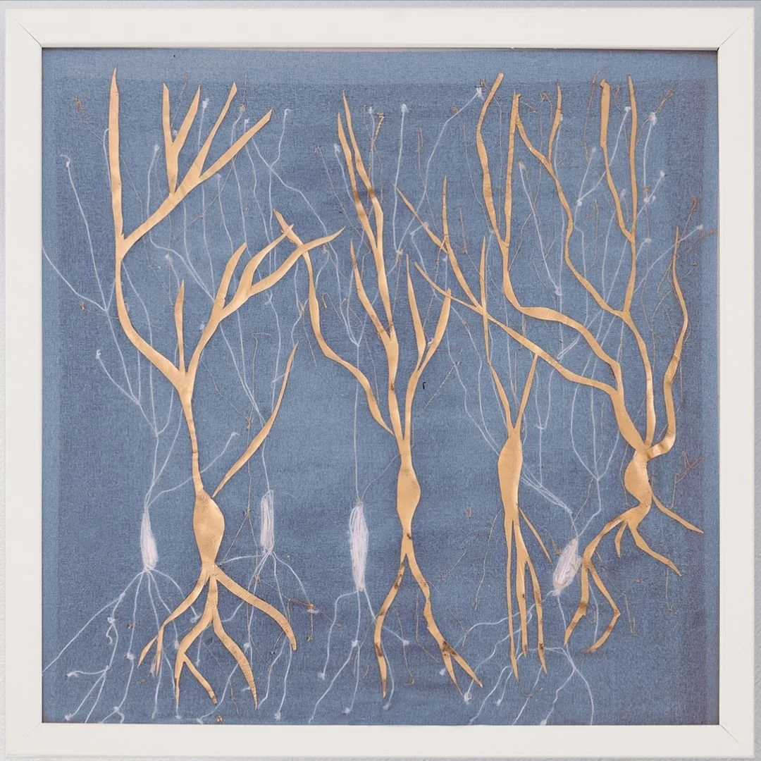 Pinal Miniar  Interlaced web.jpg