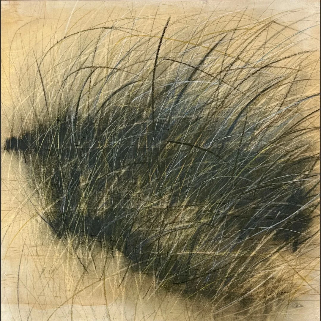Wildgrass Grey_Kylian_325x325_2026 - Kylian Martin.jpg