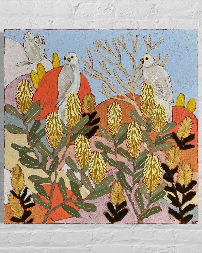 Hannah Goggs Grey Goshawk in Banksia Marginata .jpg
