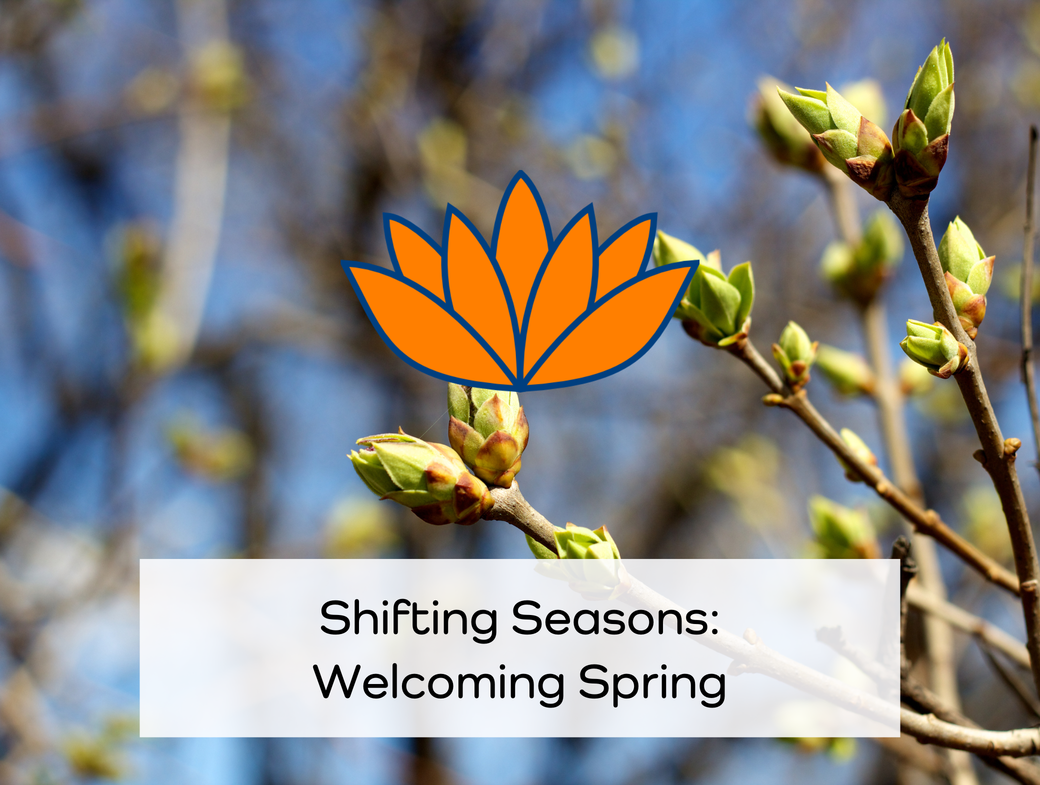 Shifting Seasons: Welcoming Spring