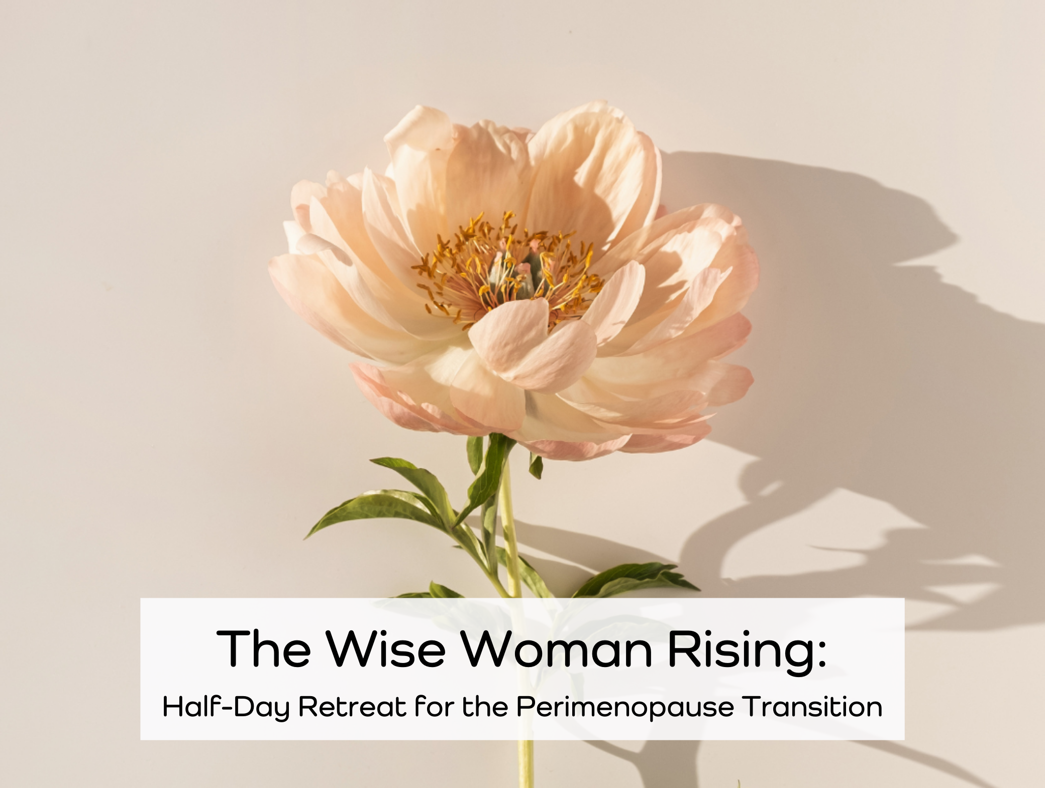 The Wise Woman Rising: Half-Day Retreat for the Perimenopause Transition