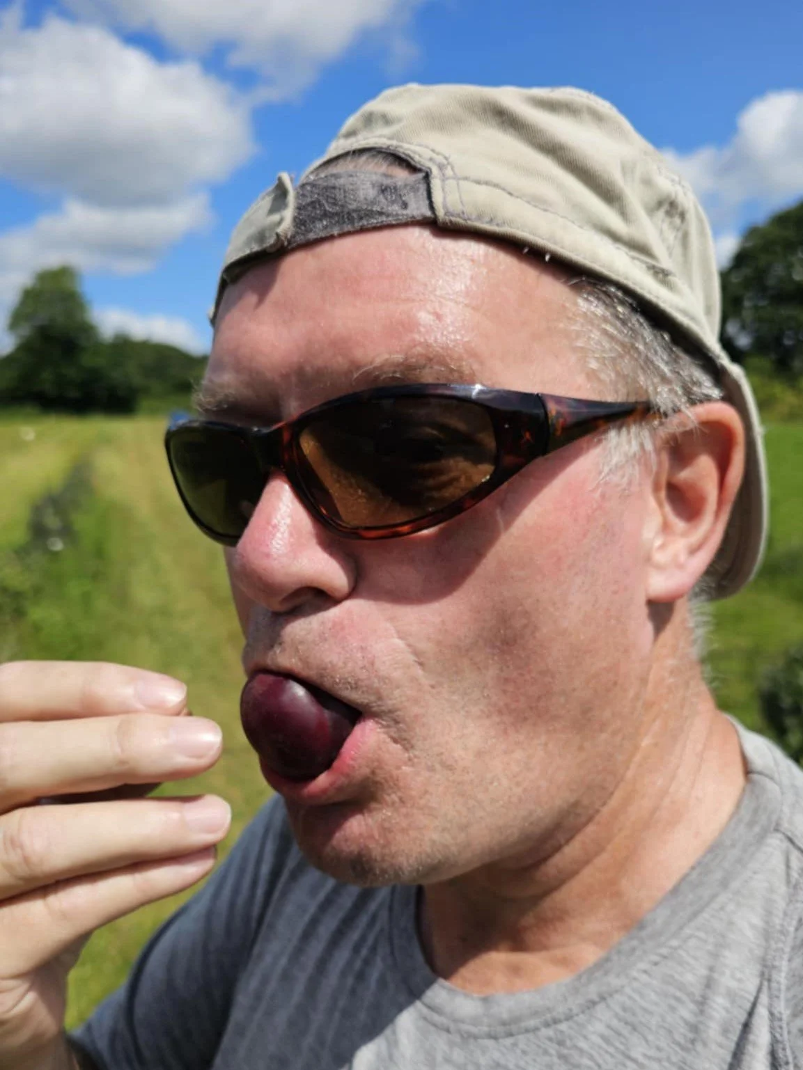 Hmm Yummy! Strawberry picking at Yealmpton, near Plymouth! I'd rather be born with a plum in my mouth than a silver spoon!