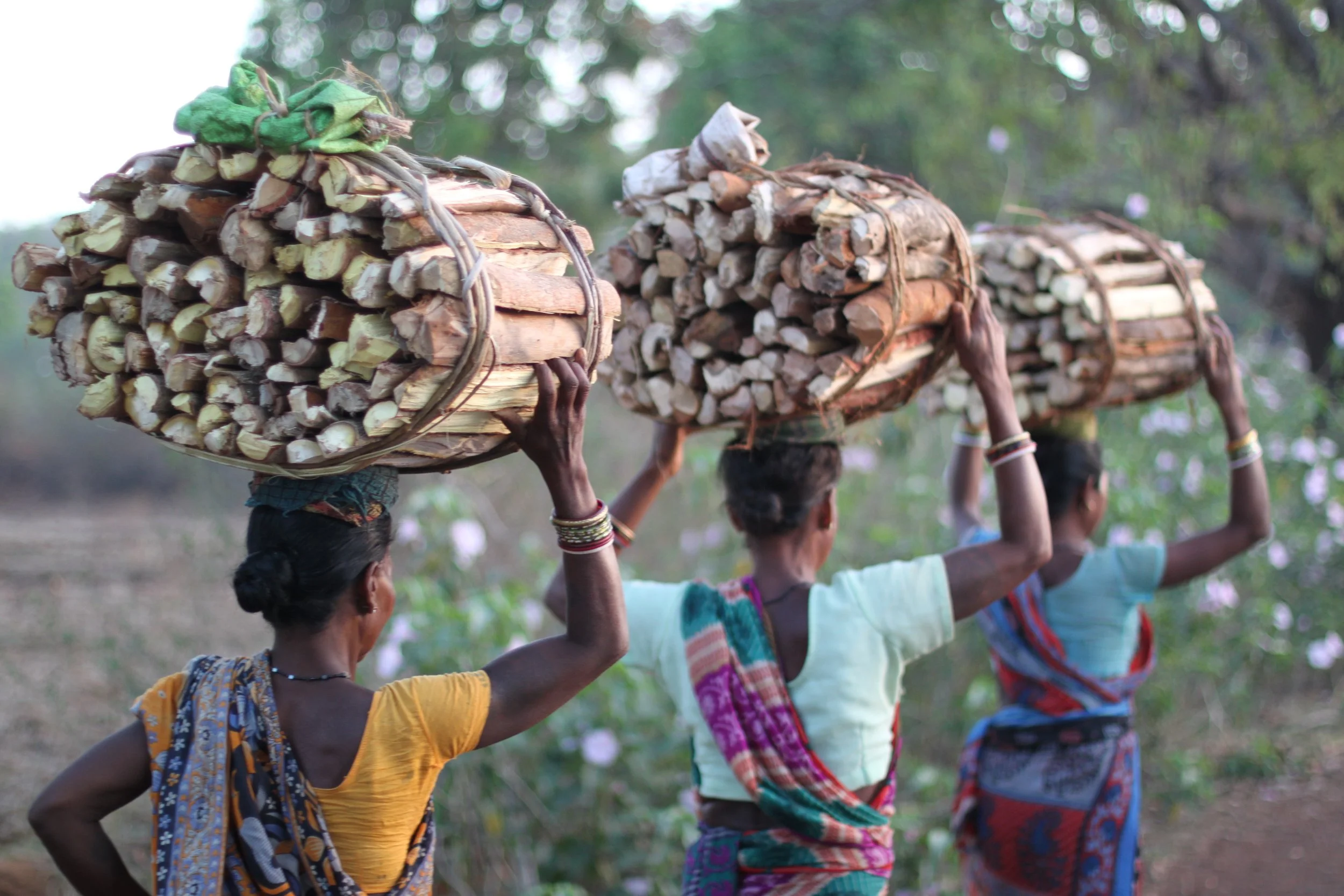 Women carrying wood on head_India.jpg