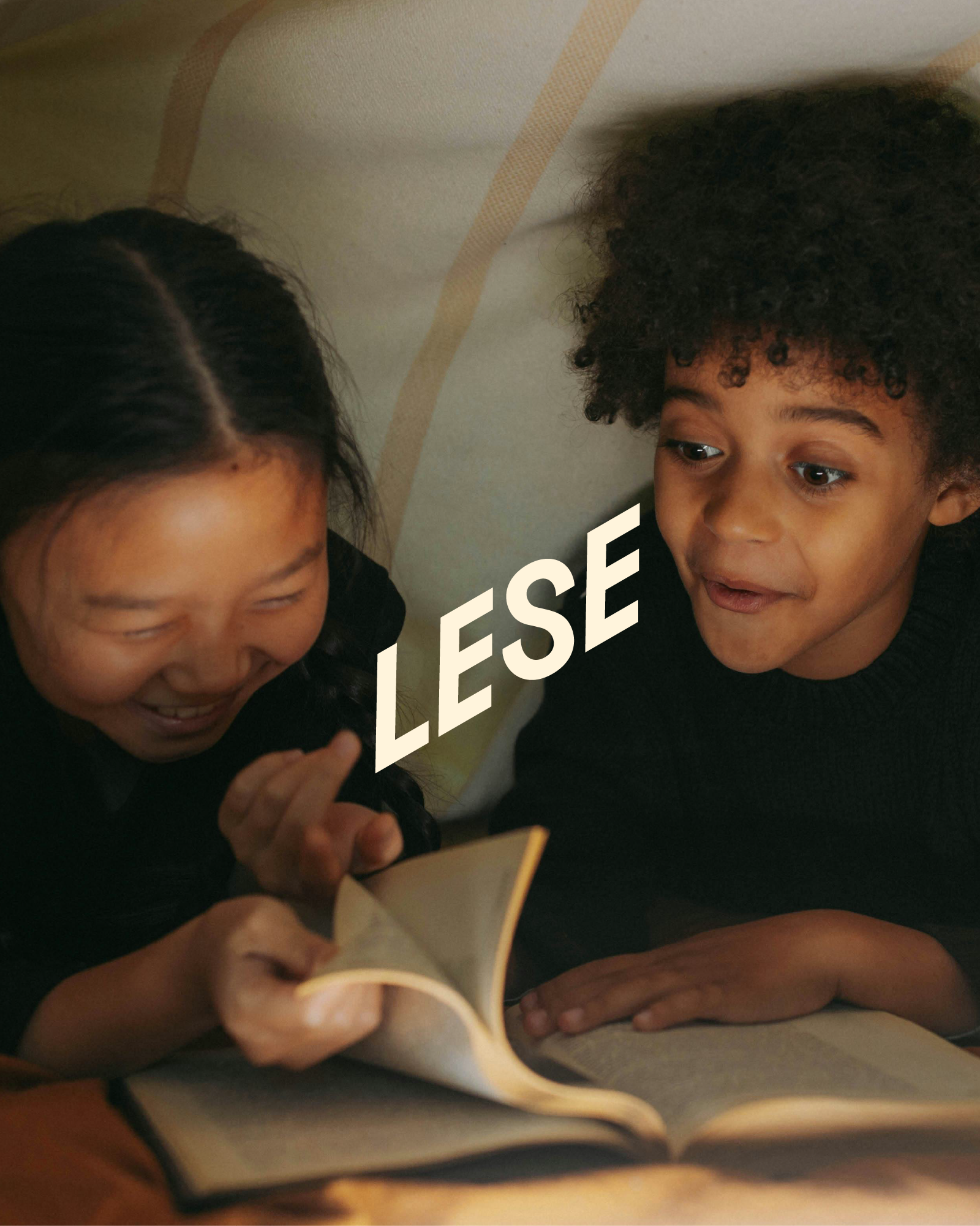 Stiftelsen Lese – Visuell identitet