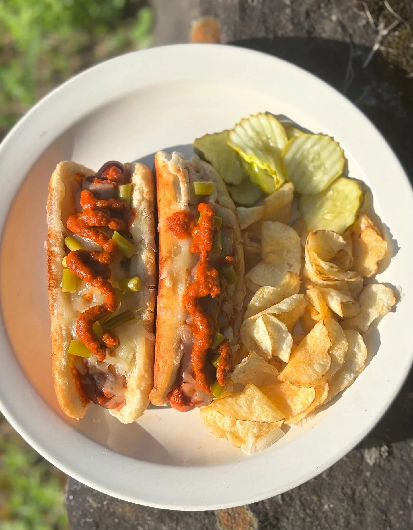 SPECIALS!!

Calabrian Hot Dogs $11
- Sauce romesco, shaved manchego and pickled garlic scapes.

Uncle Toms Turkey Wrap $14
- Tomaitillo sauce, @fledglingfarmstead greens, cucumbers, smoked turkey, carrots, red onions, @cabotcreamery cheddar and pickl
