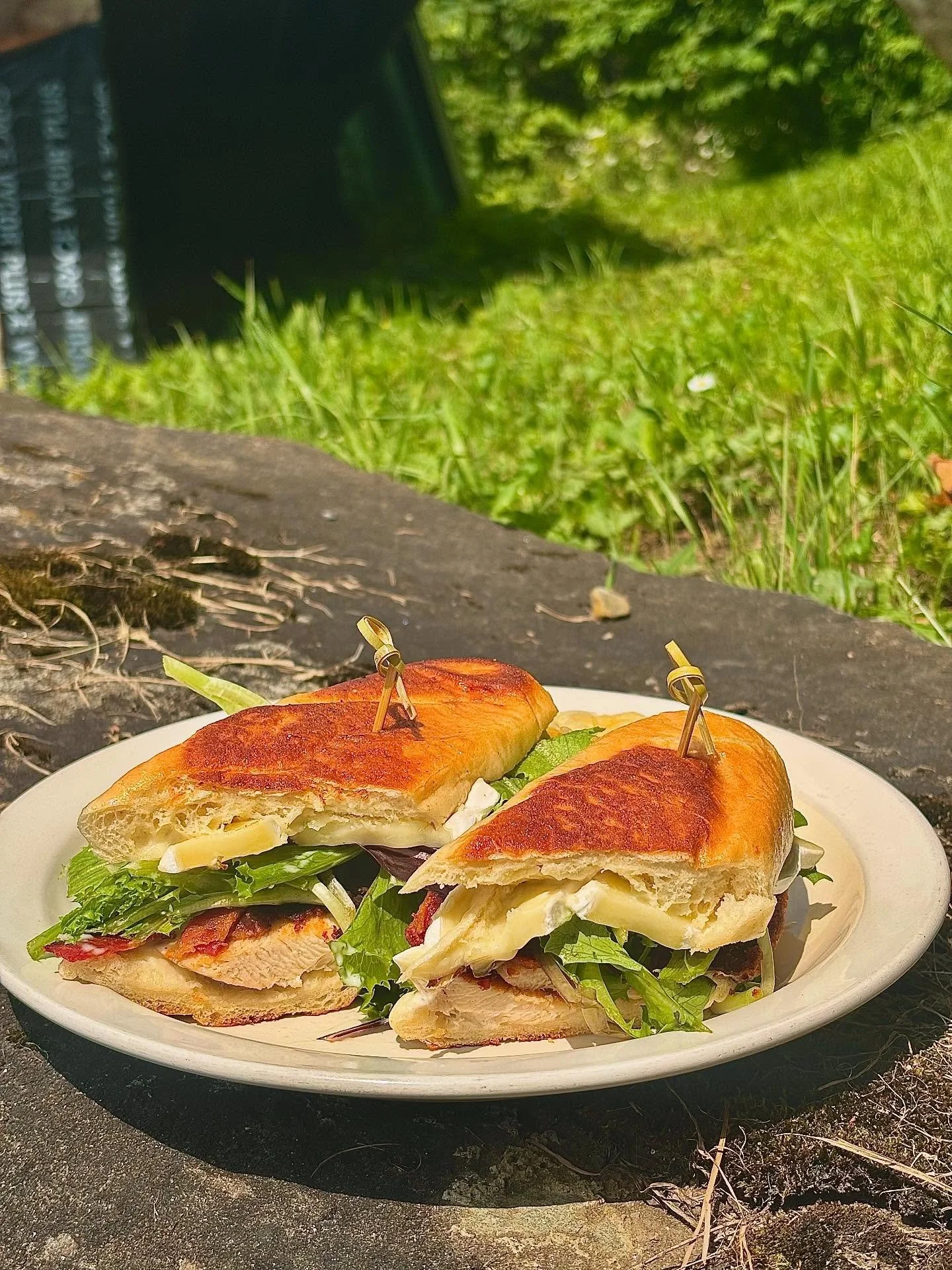 SPECIALS!!

Chicken Bacon and Brie Melt

- Roasted Chicken Breast, Hoagie roll, Bacon, Brie, Garlic Aioli, Sowlove All-Star Greens.

Whipped Ricotta and Garden Vegetable Salad

- Roasted Tomato Vinaigrette, Whipped Ricotta, Sowlove Radishes, Turnips,