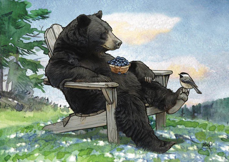 Shawn Braley Exhibition