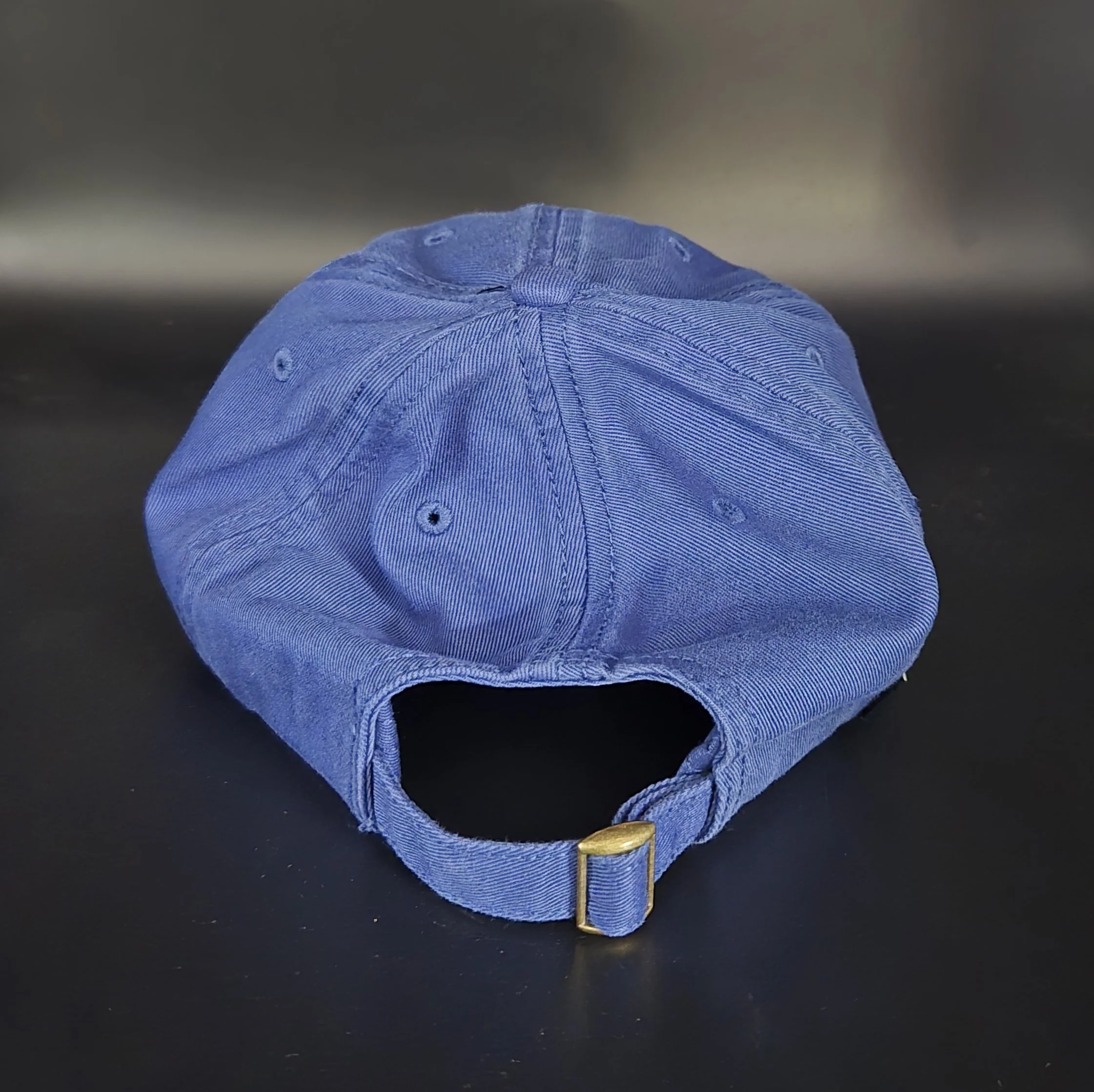 TGS Cap_ Blue_ Back.jpg