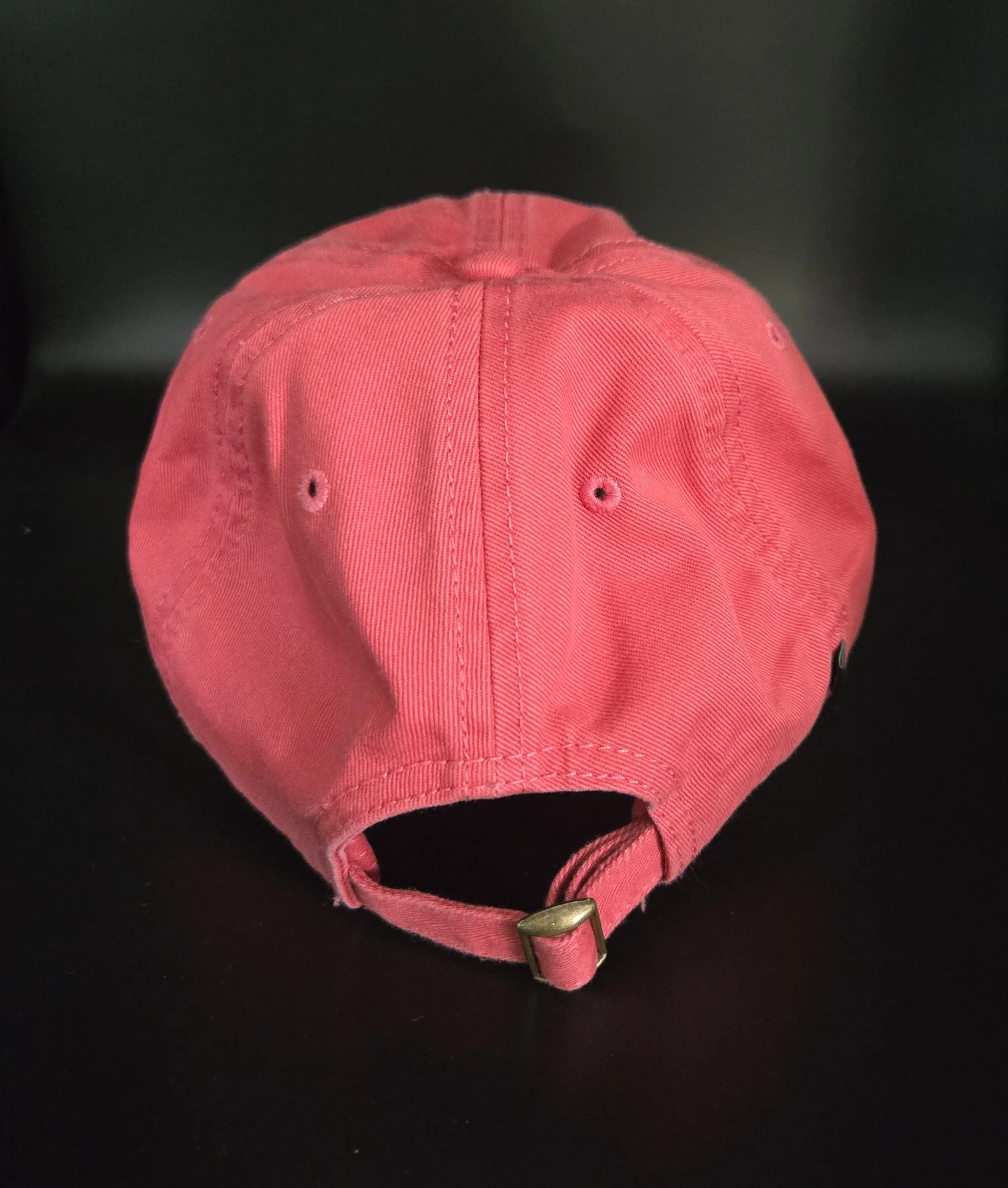TGS Cap_ Dark Salmon_ Back.jpg
