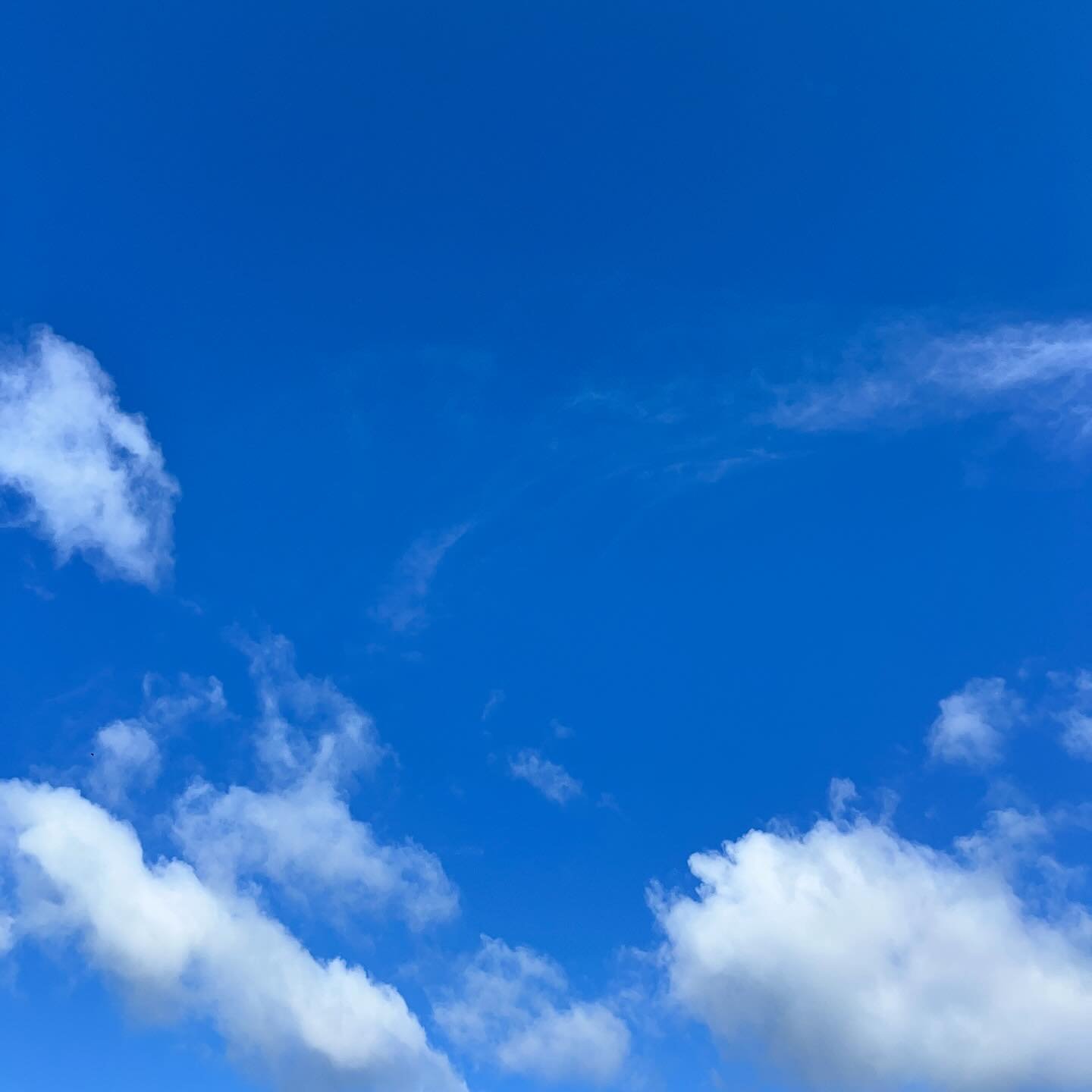 ☀️ ☁️ 

Monday 2nd June 2025
Sunny, cloudy and a touch of rain