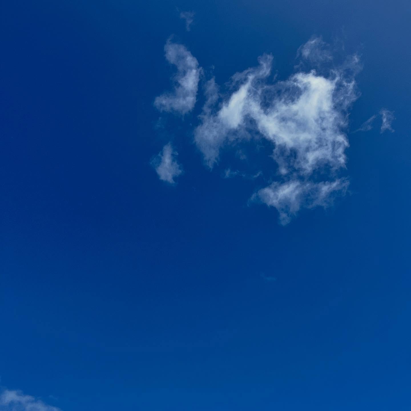 ☀️ 💨 

Wednesday 4th June 2025
Sunny, windy!