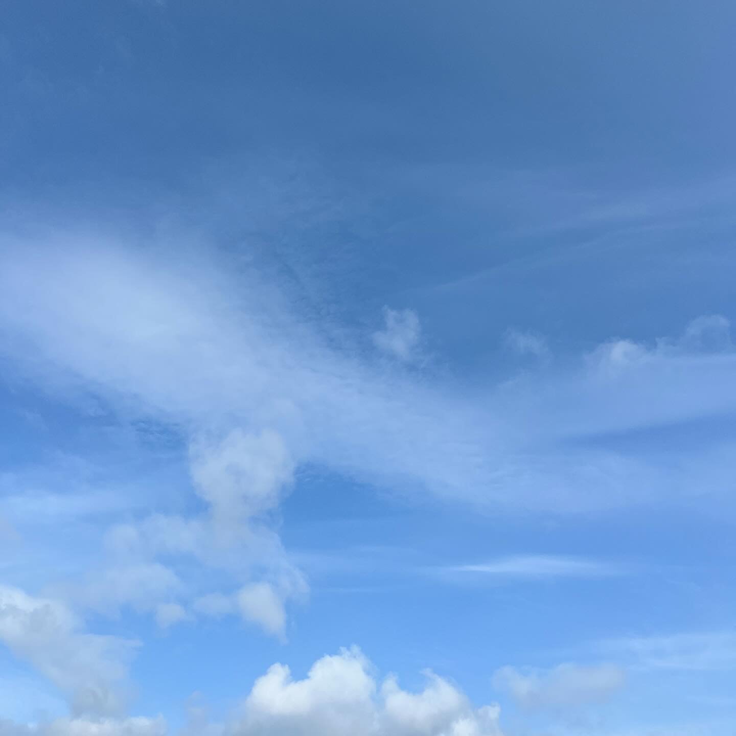 ☀️ 

Thursday 5th June 2025
Sunny!
