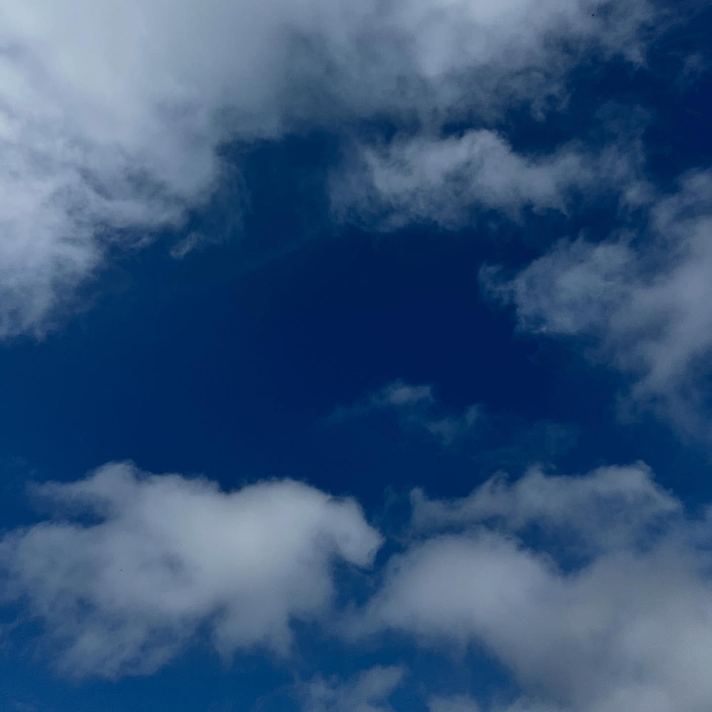 ☁️ ⛅️ 

Thursday 12th June 2025
Some sun but mostly cloudy!