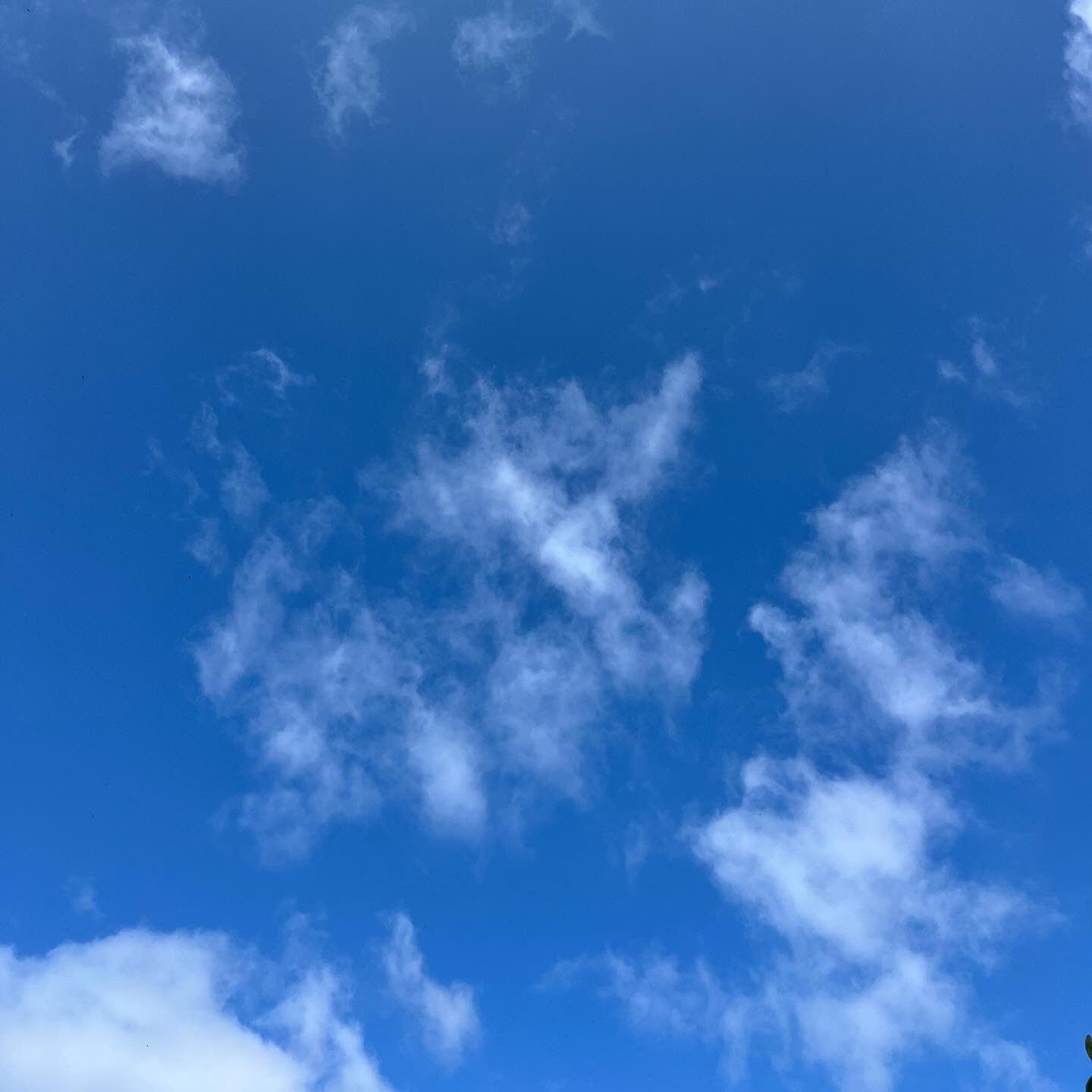 ☀️ ⛅️ 

Sunday 15th June 2025
Sunny

🌡️ H 18&deg;C &bull; L 13&deg;C
☁️ 1016 mbar and steady
🟢 2 DAQI 
🌞 17hrs 41mins &bull; 0421 &bull; 2203
🌖 Waning Gibbous